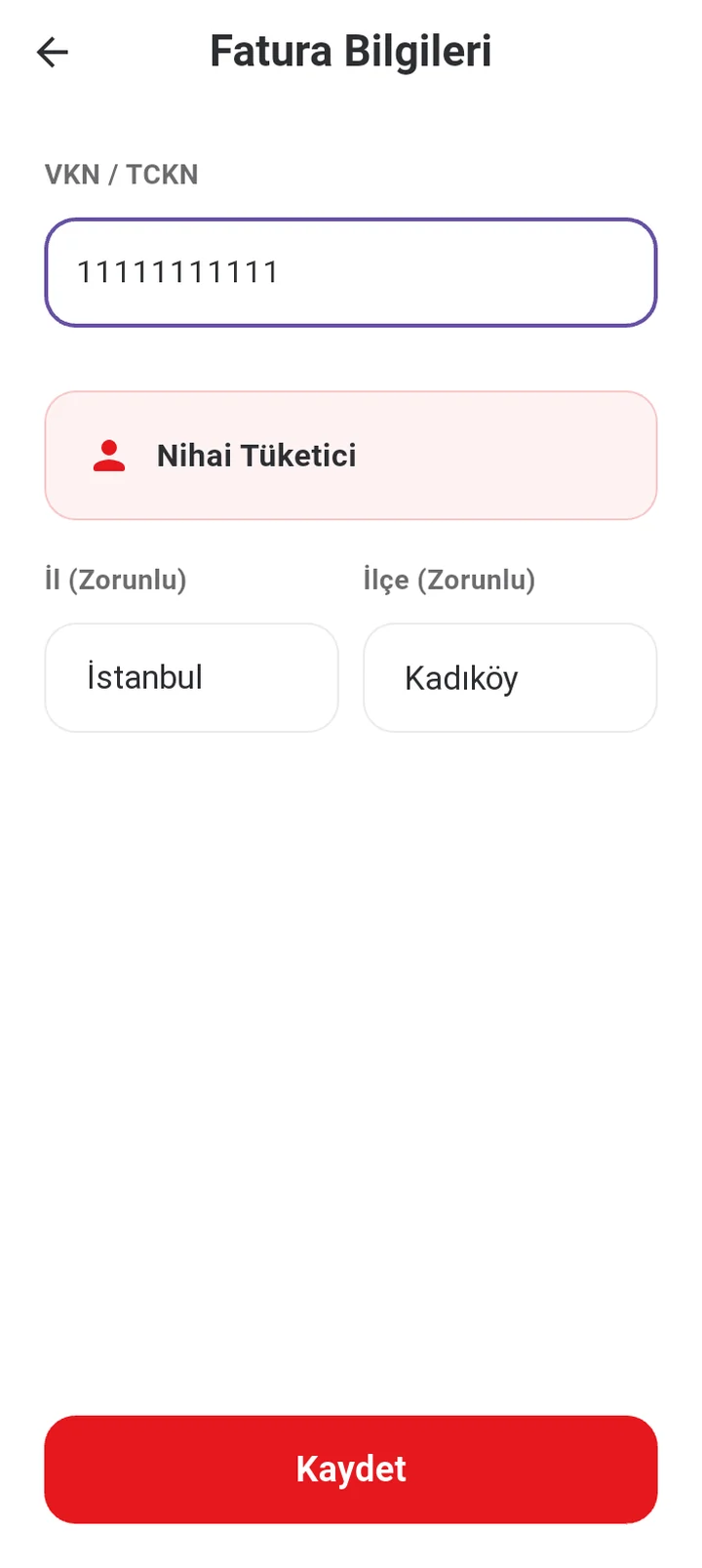 Fatura bilgileri ekranı: VKN/TCKN alanı, Nihai Tüketici sonucu, il ve ilçe, Kaydet düğmesi